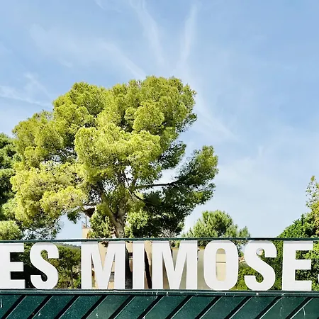 Mimoses Costabravasi