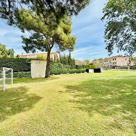 Mimoses Costabravasi Sant Feliu de Guixols